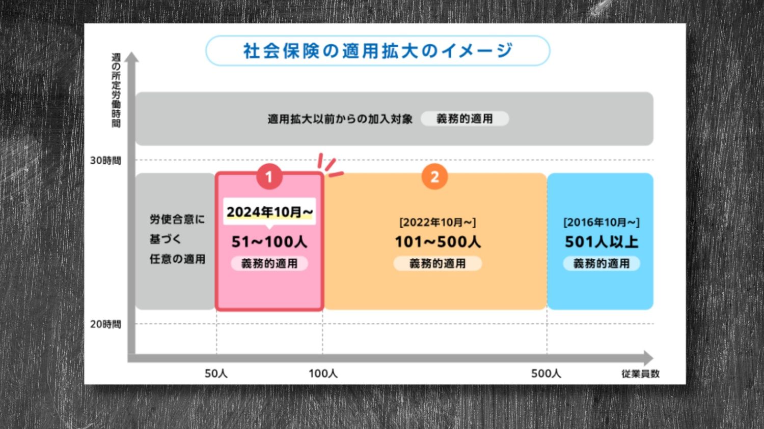 【年収の壁】2024年10月の健康保険適用範囲拡大にも触れ、壁のしくみを徹底解説！