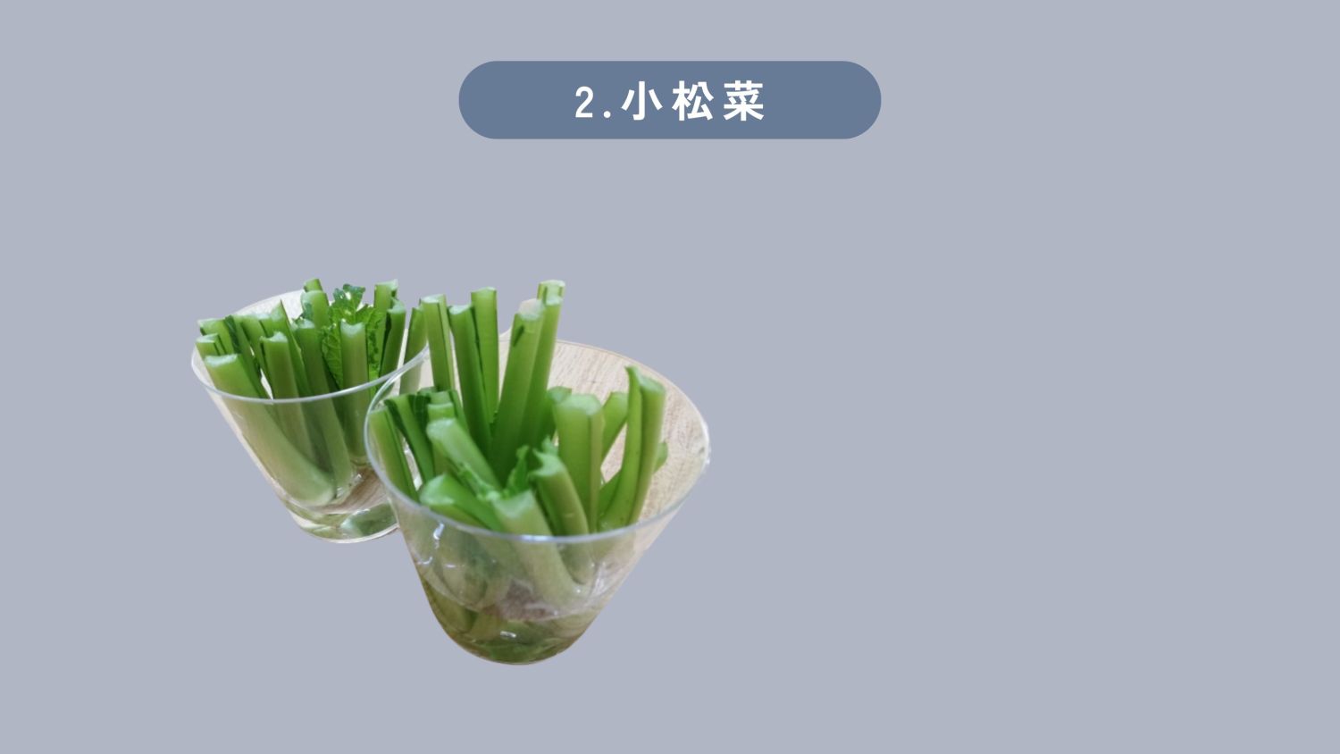 リボべジとは？自由研究にも最適、リボべジできる野菜５選