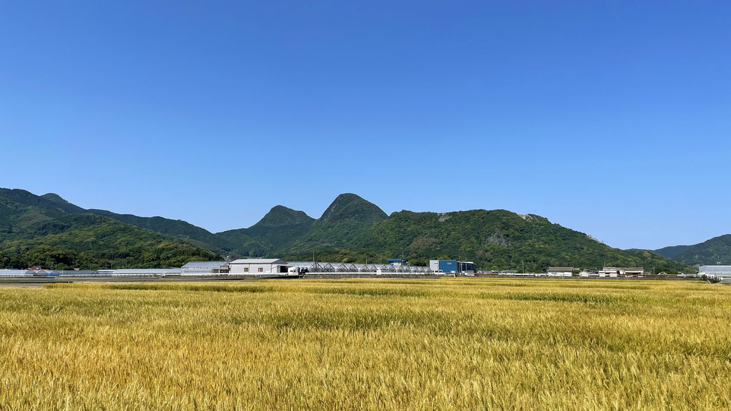 【47都道府県のエリア情報】福岡県の地価